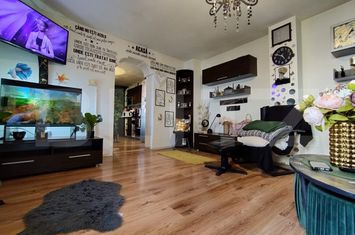 Casă - 4 camere de vanzare RONAT - Timis anunturi imobiliare Timis