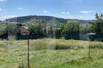 Teren de vanzare SFANTU GHEORGHE - Covasna anunturi imobiliare Covasna