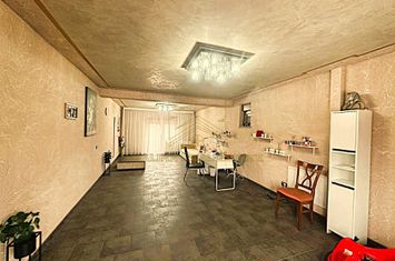 Vanzare - Vila 5 Dormitoare- Eficienta Energetica Ridicata anunturi imobiliare Bucuresti