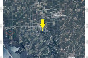 Teren agricol 12.821 mp în Erateino (Nestos) anunturi imobiliare Grecia