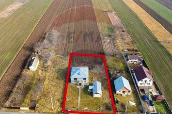 Casă / Vilă cu 4 camere de vânzare anunturi imobiliare Iasi