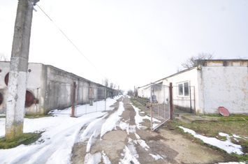 Ferma avicola inchiriere sau vanzare, localitatea Calacea anunturi imobiliare Salaj