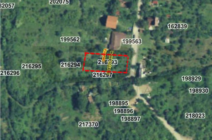 Teren Intravilan de vanzare PODGORIA - Bihor anunturi imobiliare Bihor