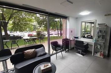 Spatiu Comercial Stradal Șoseaua Colentina zona Teiul Doamnei Suveica anunturi imobiliare Bucuresti