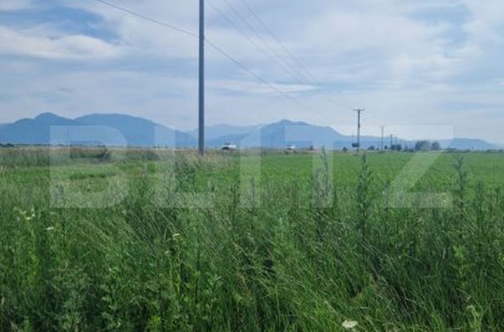 Teren de vanzare HARMAN - Brasov anunturi imobiliare Brasov
