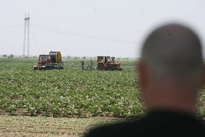 Străinii ne cumpără ţara la hectar: Cum s-a scumpit pământul românesc cu 40% în plină criză