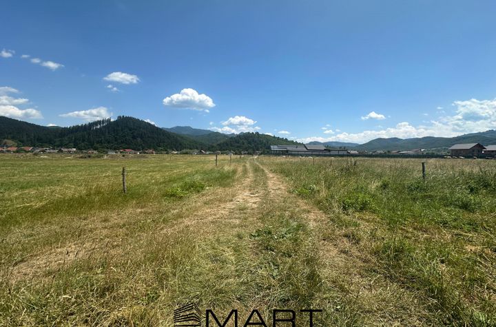 Teren de vanzare RASNOV - Brasov anunturi imobiliare Brasov