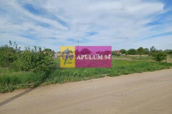 Teren 1400 mp, intravilan construibil, în Joița anunturi imobiliare Giurgiu
