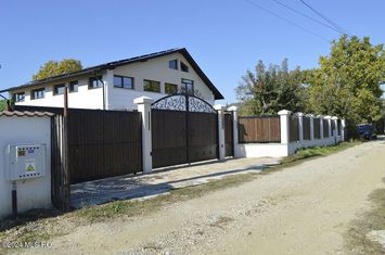 Calinesti - Gorganu, casa cu 2 intrari, teren 2496 mp anunturi imobiliare Arges