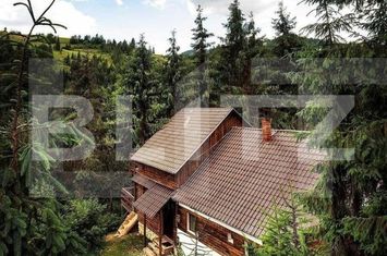 Vilă - 8 camere de vanzare ALBA IULIA - Alba anunturi imobiliare Alba