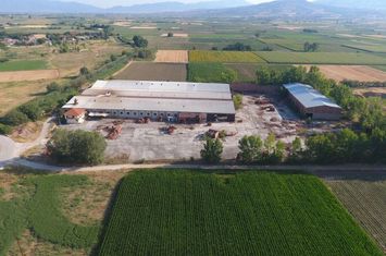 Spațiu industrial 10049 mp în Skotoussa anunturi imobiliare Grecia