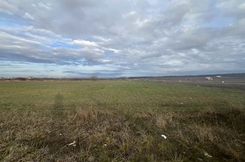 Teren de vanzare CIHEI - Bihor anunturi imobiliare Bihor