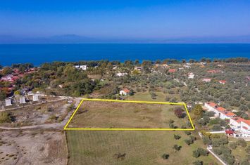 Teren construibil 7680 mp în Skala Rachoniou anunturi imobiliare Grecia