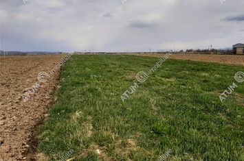 Teren Intravilan de vanzare AVRIG - Sibiu anunturi imobiliare Sibiu