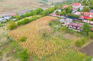 De Vânzare Teren Intravilan de 700 mp | Str. Viorelelor-Valea Lupului anunturi imobiliare Iasi