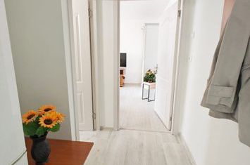 Apartament 2 camere de vanzare SPITALUL JUDETEAN - Timis anunturi imobiliare Timis