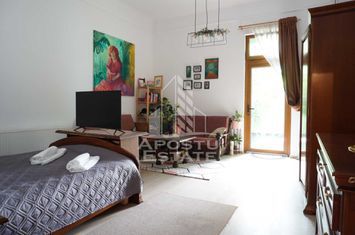 Apartament cu o camera zona Medicina, Pet Frendly anunturi imobiliare Timis