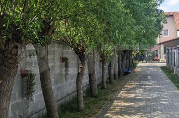 Casă - 5 camere de vanzare DUMBRAVITA - Timis anunturi imobiliare Timis