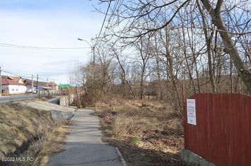Valea Ursului - DN 7, Teren Stradal 2744 mp anunturi imobiliare Arges