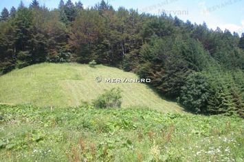 Teren de vânzare în Azuga (zona Semicentrală) anunturi imobiliare Prahova