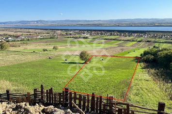 Teren extravilan de vanzare 4045 mp in zona Tileagd anunturi imobiliare Bihor