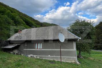 Casă - 4 camere de vanzare INTREGALDE - Alba anunturi imobiliare Alba