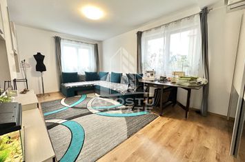 Apartament cu 2 camere mobilat decomandat la parter in Giroc la asfalt anunturi imobiliare Timis