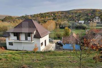 Vilă - 7 camere de vanzare CARA - Cluj anunturi imobiliare Cluj