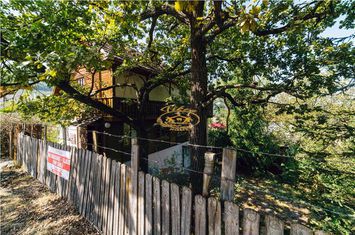Casă - 8 camere de vanzare PRAID - Harghita anunturi imobiliare Harghita
