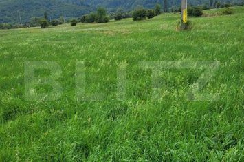 Teren de vanzare SUCEAVA - Suceava anunturi imobiliare Suceava