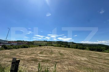 Teren de vanzare CUGIR - Alba anunturi imobiliare Alba