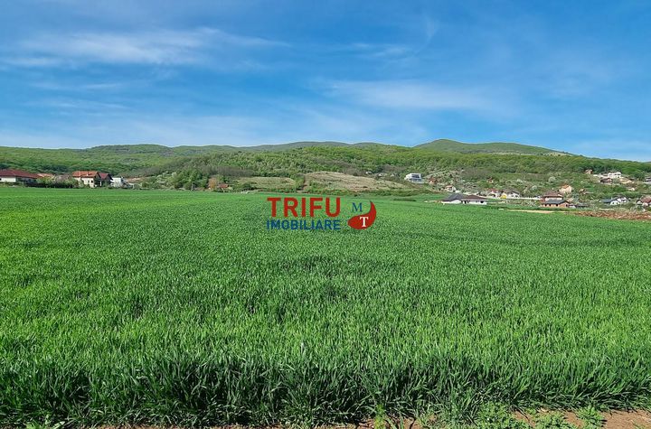 Teren Intravilan de vanzare CENTRAL - Alba anunturi imobiliare Alba