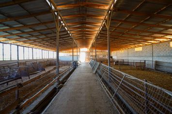 Spațiu pastoral 738 mp pe teren 6.000 mp, Mavrovatos anunturi imobiliare Grecia