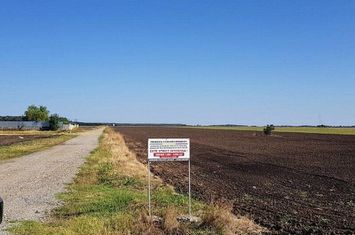 Branesti teren intravilan 30700 mp anunturi imobiliare Bucuresti