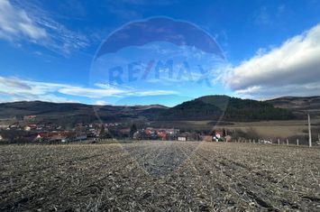 Teren Extravilan Sliminic 5000mp anunturi imobiliare Sibiu