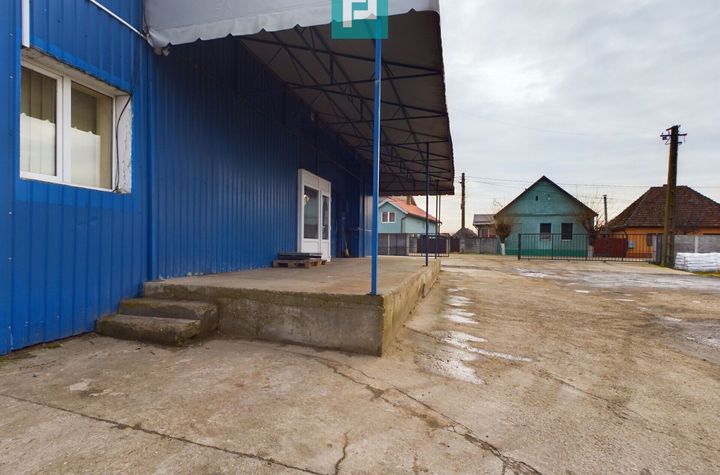 Depozit frigo în Săcălaz anunturi imobiliare Timis