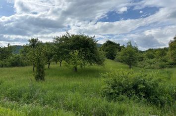 Teren de vanzare SIBIEL - Sibiu anunturi imobiliare Sibiu