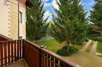 Vilă cu 6 dormitoare, 2 garaje, anexe multiple - 2076 mp teren anunturi imobiliare Neamt