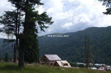 Teren de vânzare în Azuga (zona Centrală) anunturi imobiliare Prahova