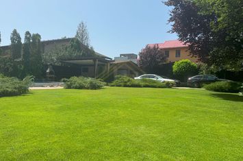 CASA P+2+TERASA CIRCULABILA-MOBILATA-PISCINA-TEREN 900 MP anunturi imobiliare Bucuresti