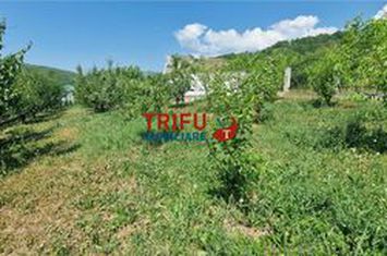 Teren Intravilan de vanzare AMPOITA - Alba anunturi imobiliare Alba