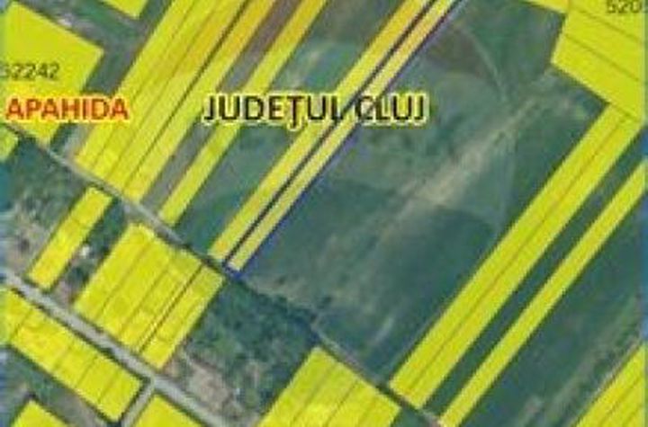 Teren Apahida / Sat pata anunturi imobiliare Cluj