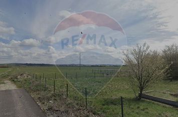 Teren intravilan, 2,900 mp Jucu de Sus, la asfalt anunturi imobiliare Cluj