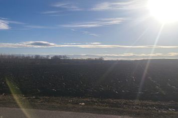 Teren de vanzare RADAUTI - Suceava anunturi imobiliare Suceava