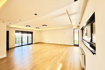 Modern villa, complex, terrace jacuzzi, security, Iancu Nicolae anunturi imobiliare Bucuresti