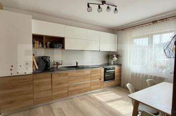 Vilă - 4 camere de vanzare MOSNITA VECHE - Timis anunturi imobiliare Timis