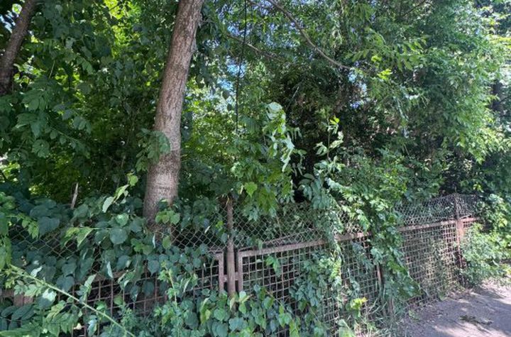 Teren de vanzare RADAUTI - Suceava anunturi imobiliare Suceava