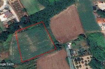 Teren construibil 3046 mp în Agios Ioannis anunturi imobiliare Grecia