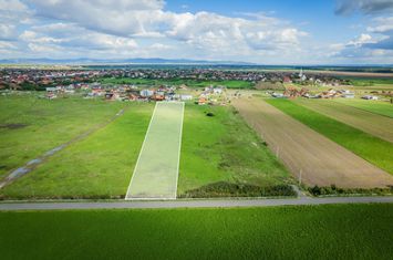 Teren de 7900 mp în Vladimirescu anunturi imobiliare Arad