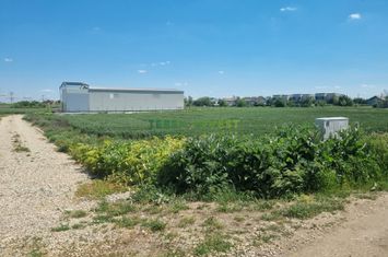 Teren industrial 1.040 mp, Bragadiru - deschidere dublă DN6/A0 anunturi imobiliare Bucuresti